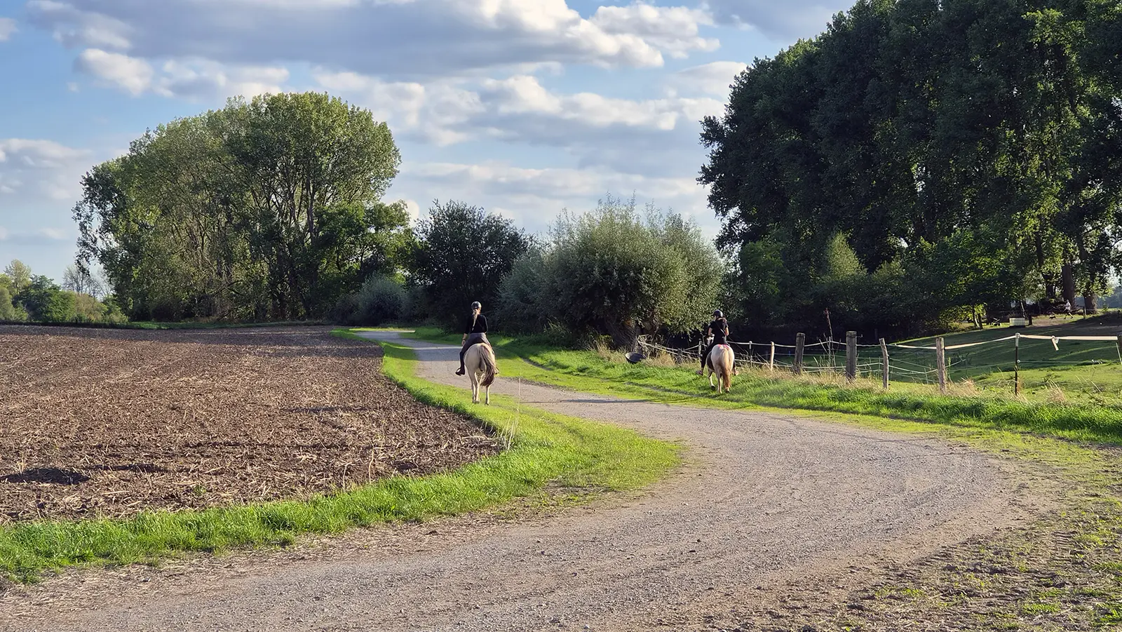 Ausreitgelände am Rhein direkt beim Reitstall EquiUnity in Meerbusch-Nierst