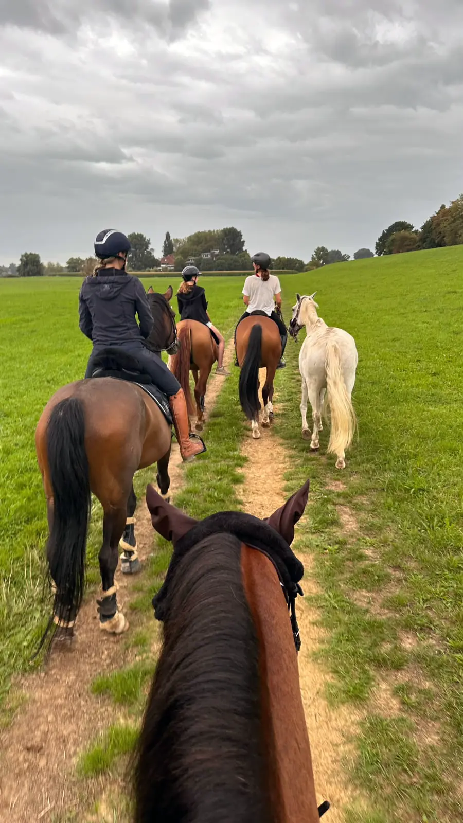 Ausritt mit Pferd im Gelände rund um Meerbusch-Nierst