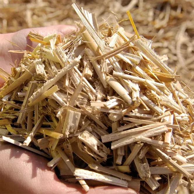 Miscanthus-Einstreu im Reitstall EquiUnity
