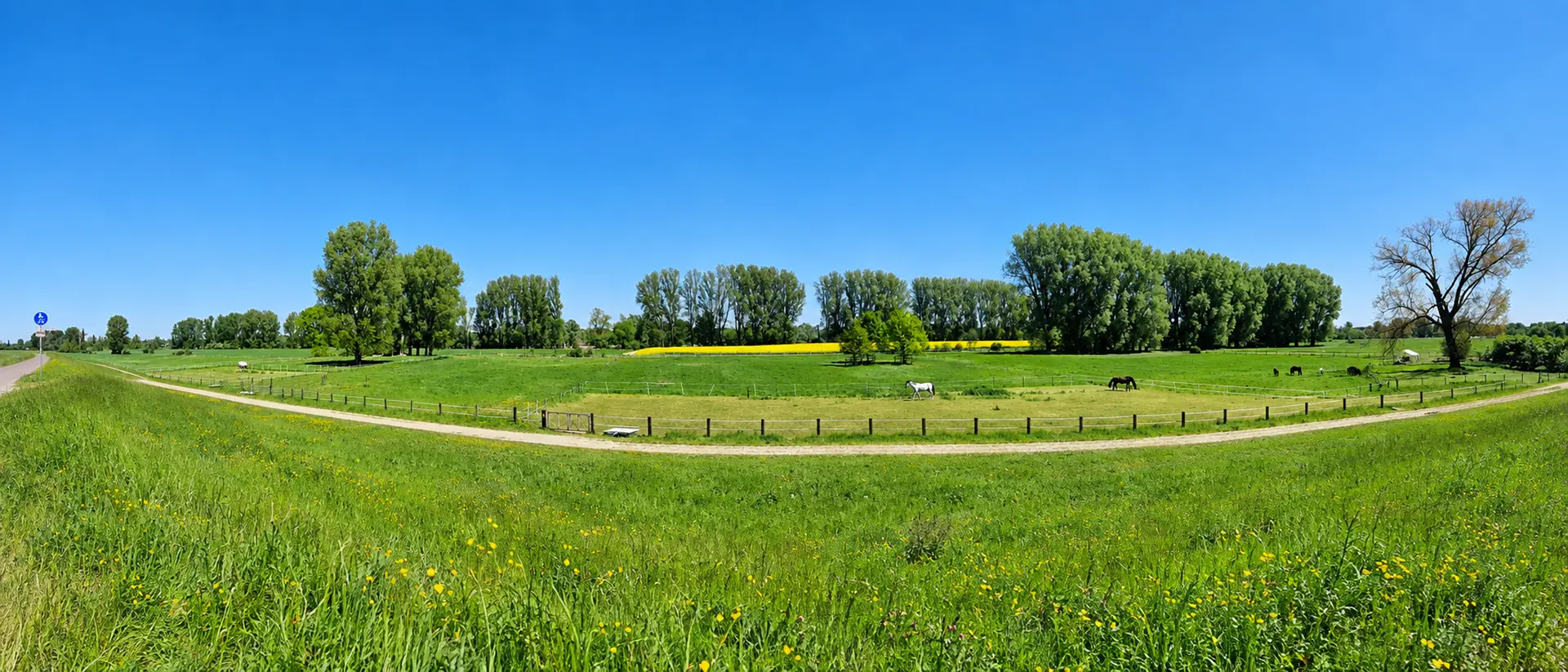 Panoramablick über die Sommerweiden des Reitstalls EquiUnity in Meerbusch